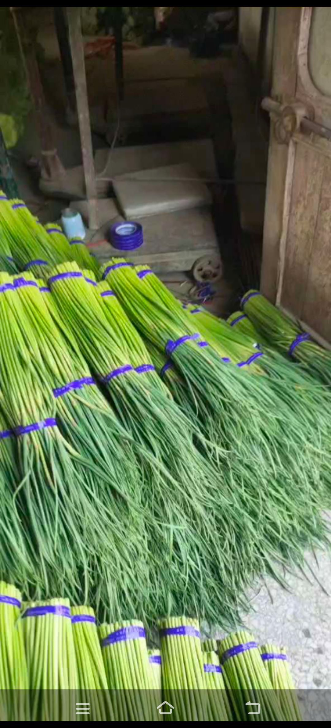 产地直发，基地货源，新鲜蔬菜。