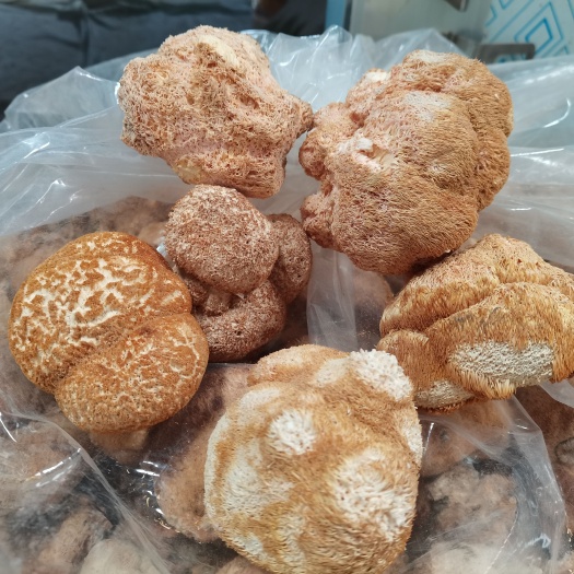 海林市干猴头菇  东北猴头菇基地直供