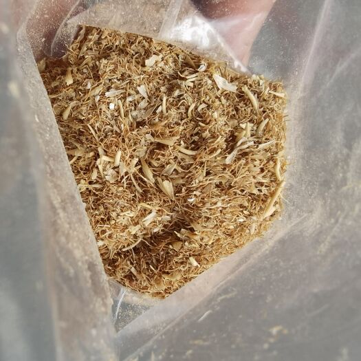 临沂麦芽根