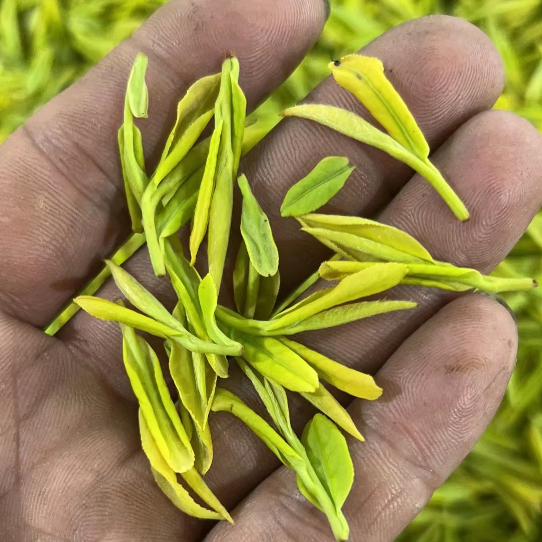 黄金叶，安吉白茶，等一些茶叶