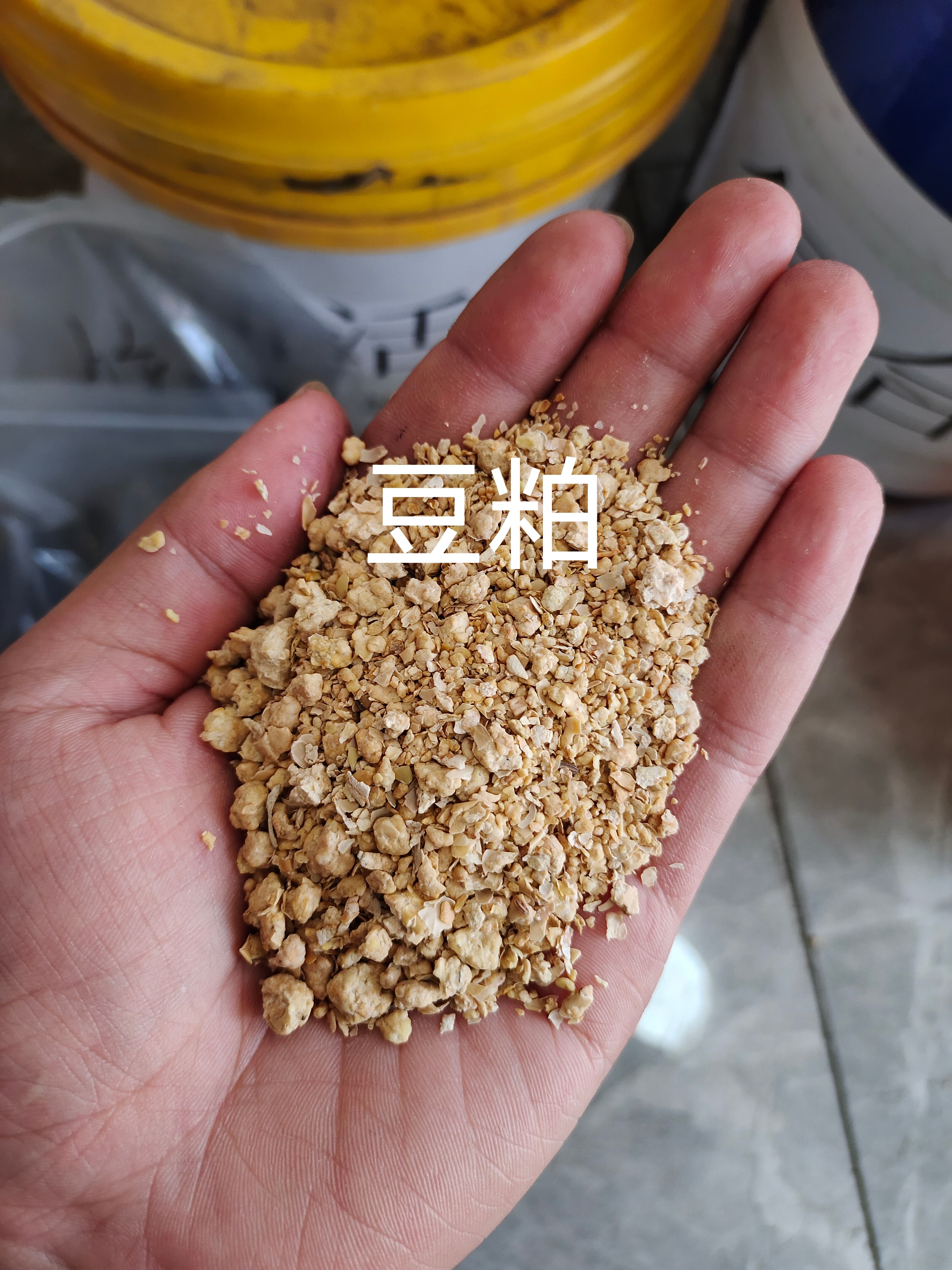 微生物菌肥   60%有机质  每克5亿菌