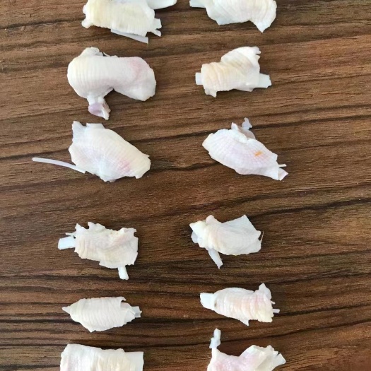 鸭脚筋
