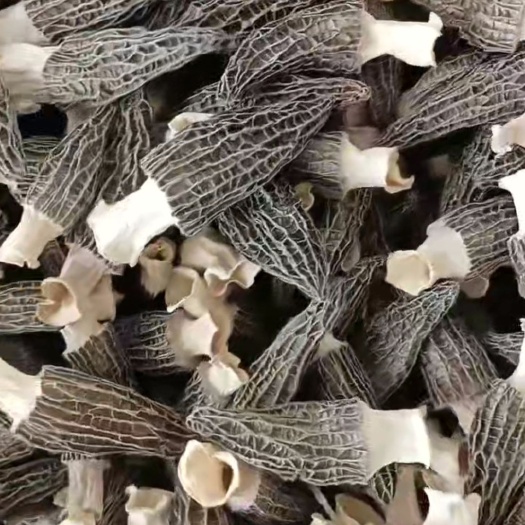 羊肚菌头茬干货