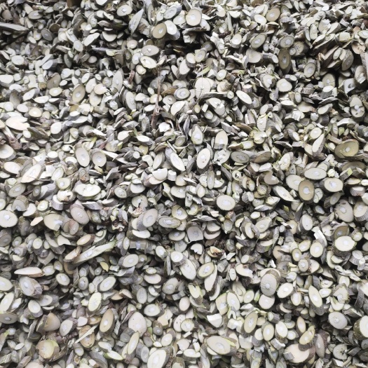 桑枝片，长期供应各种规格桑枝片大货，足浴包饮片，下料产地直发