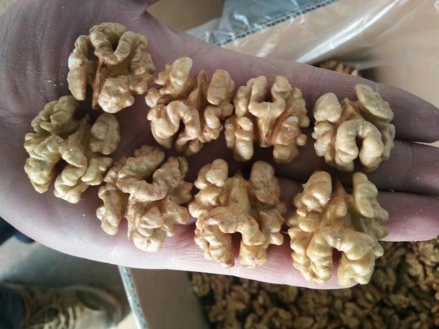 核桃仁 榨油核桃仁
