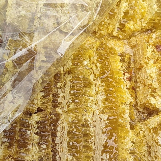 成都蜂巢蜜
