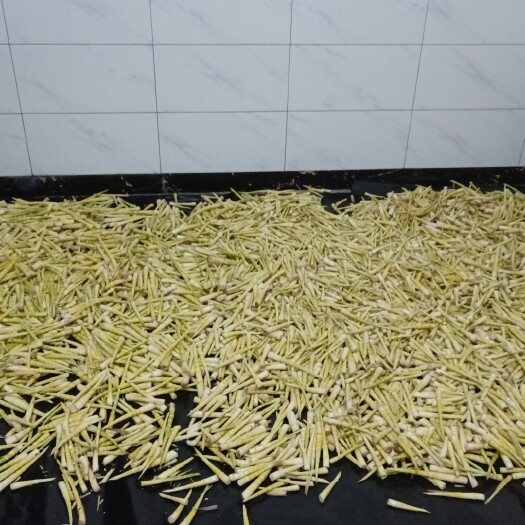 威信县批发罗汉笋，10吨起批
