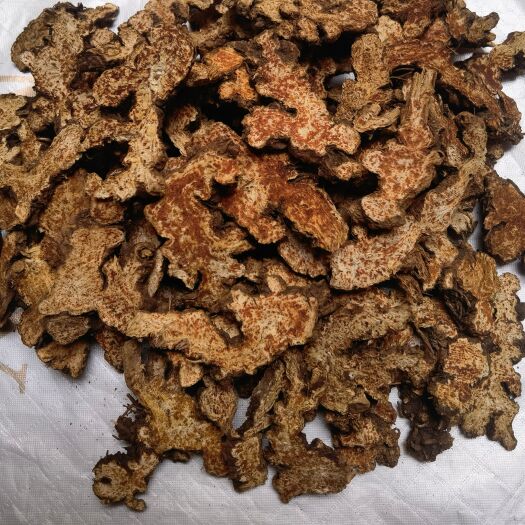 亳州苍术，内蒙苍术。