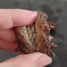 莱州市残参 即食海参b货 碎海参 团购款海参