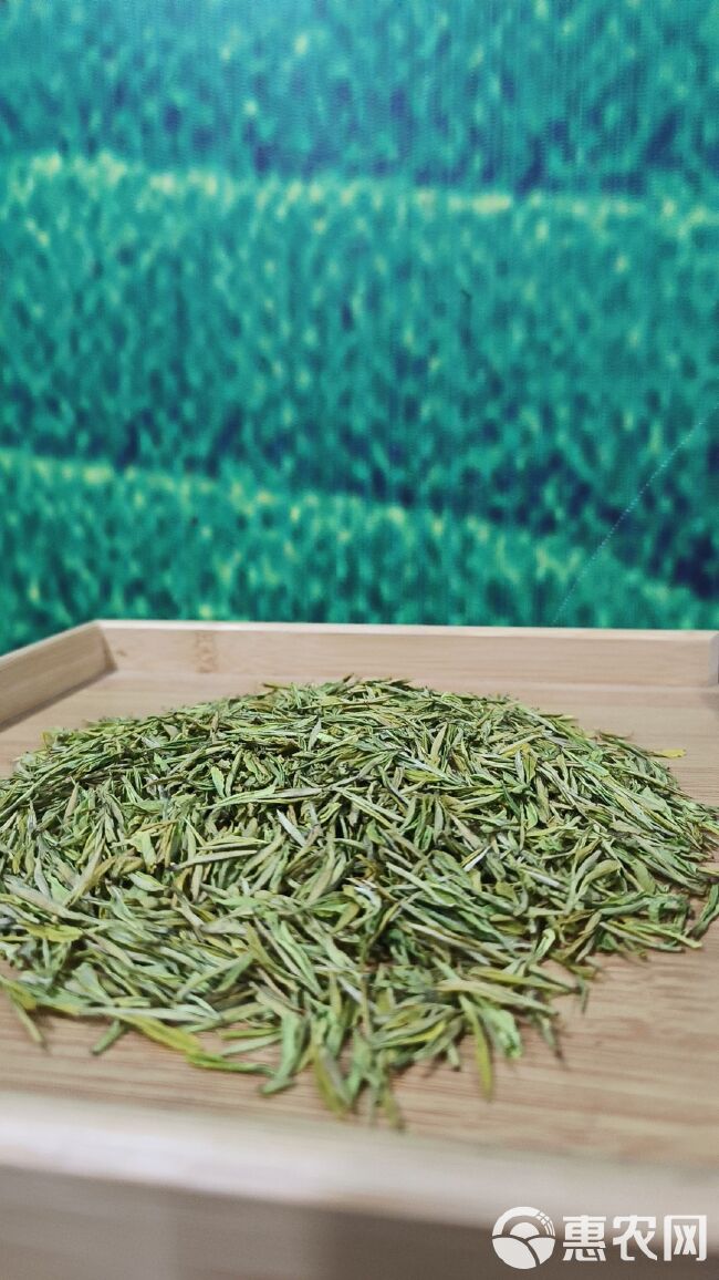 黄山毛峰牙小产区高山茶自产自销绿色美观耐泡浓度高。