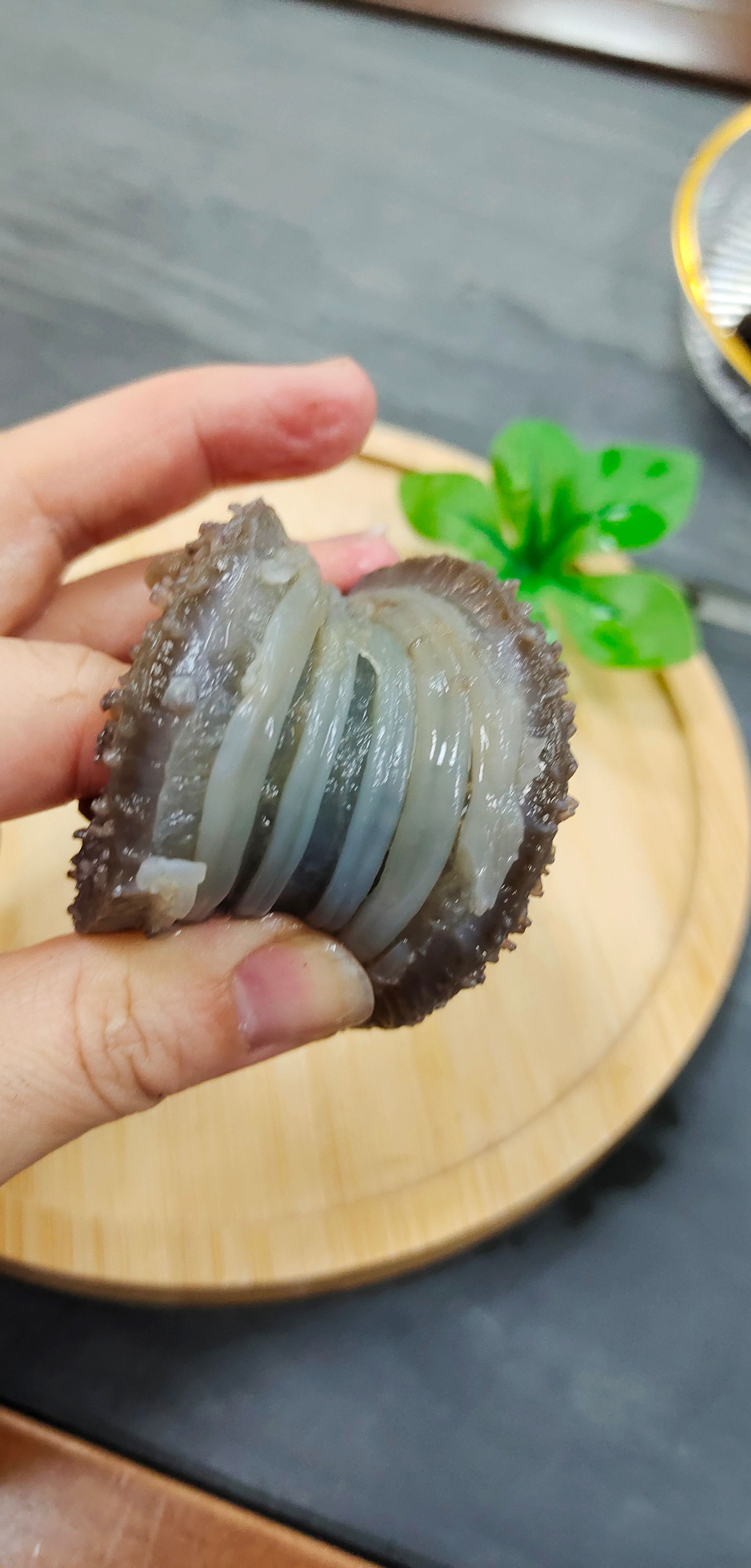 团购装鲜食海参小头货 20多头