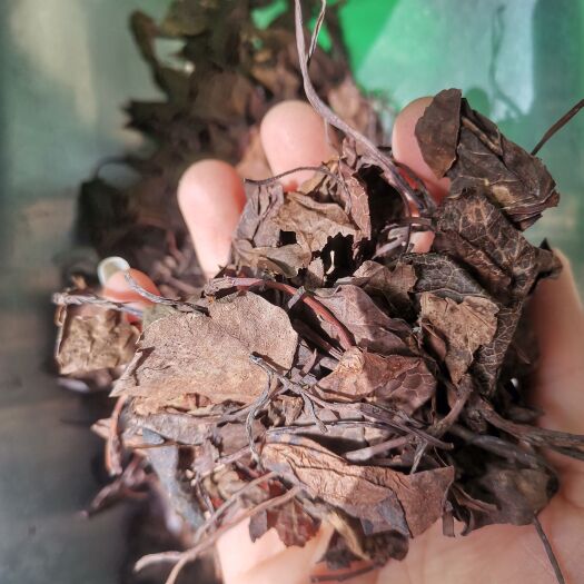 安国市鹿衔草鹿衔草中药材 鹿晗草鹿含草鹿寿草鹿蹄草纸背金牛草鹿