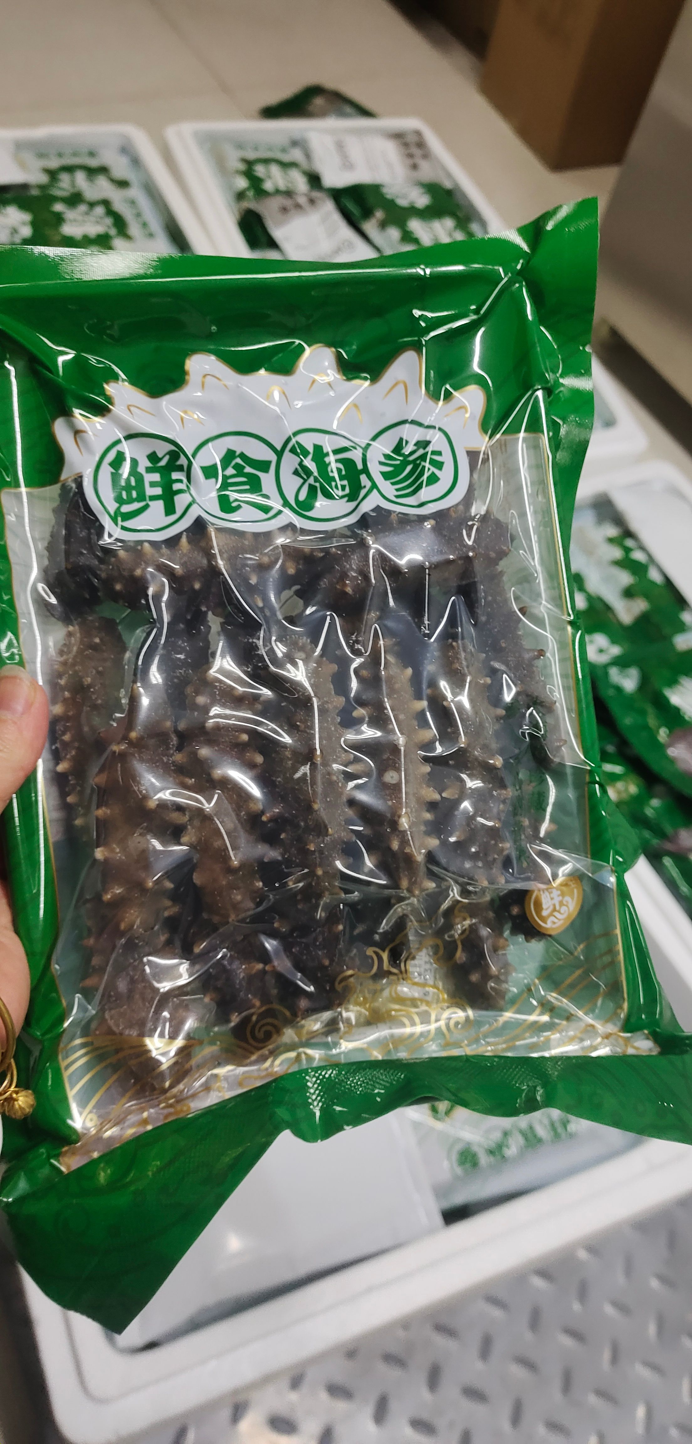 团购装鲜食海参小头货 20多头