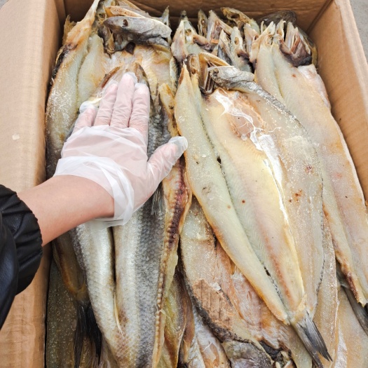 滨州香梭鱼片，一款肉质细嫩的咸鱼，一件也是批发价，支持一件代发