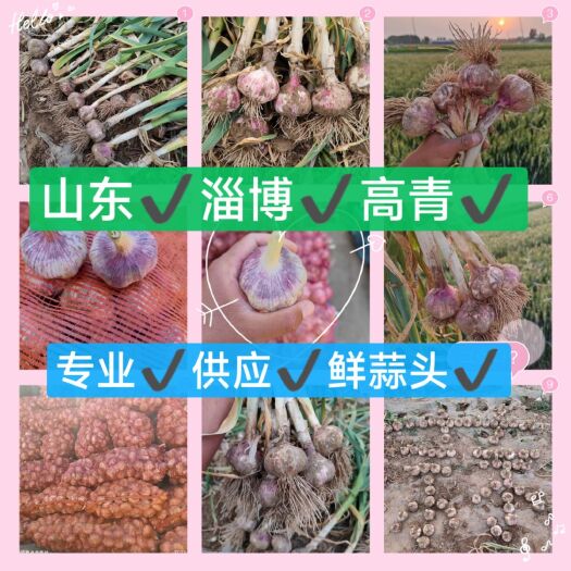 红皮鲜蒜✔鲜蒜蒜头✔5-8公分✔山东淄博高青万亩✔大蒜产地✔