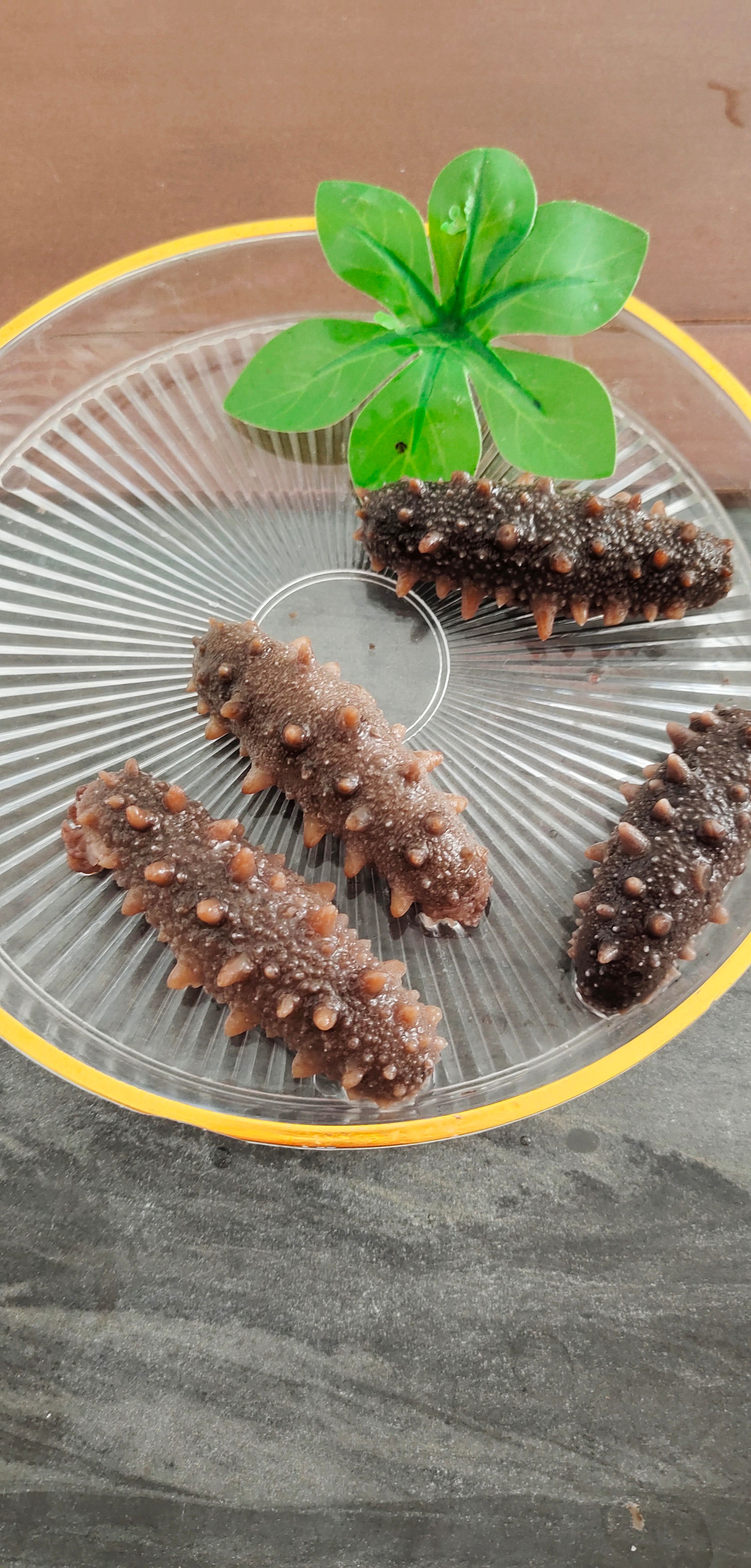 团购装鲜食海参小头货 20多头