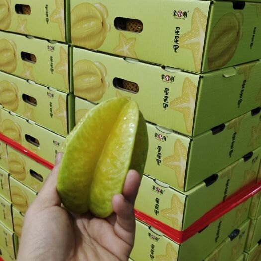 漳浦县树上熟杨桃