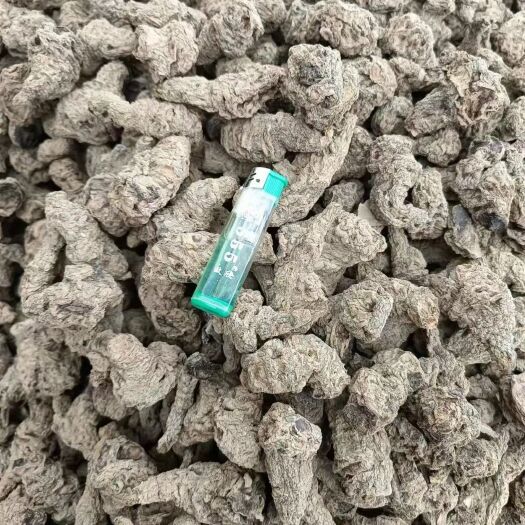 武陟县生地个子 各种规格