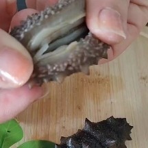 团购装鲜食海参小头货 20多头
