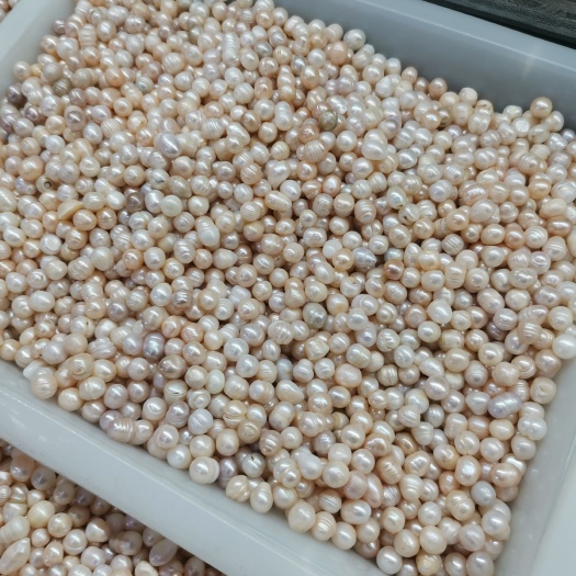 珍珠 正品多年生珍珠【假一赔十】