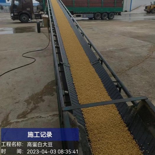 佳木斯东北大豆43.8蛋白11个水，现货500吨
