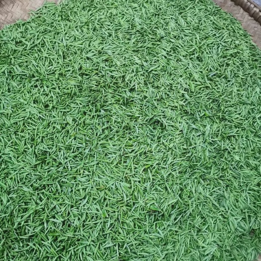 宣恩县玉露恩施硒茶，滋味醇厚，回甘香甜，耐泡！批发价格