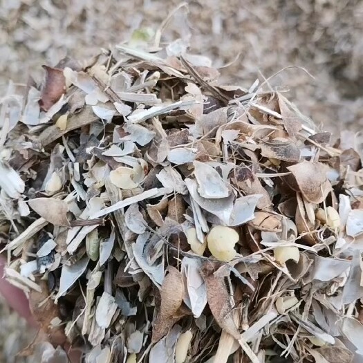 正定县低价销售东北豆荚皮