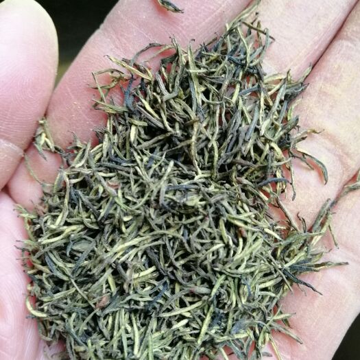 康县针型杜仲雄花