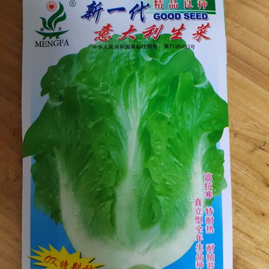 南宁【全年抽苔生菜】适合基地用种，口感脆甜，生长快，产量高