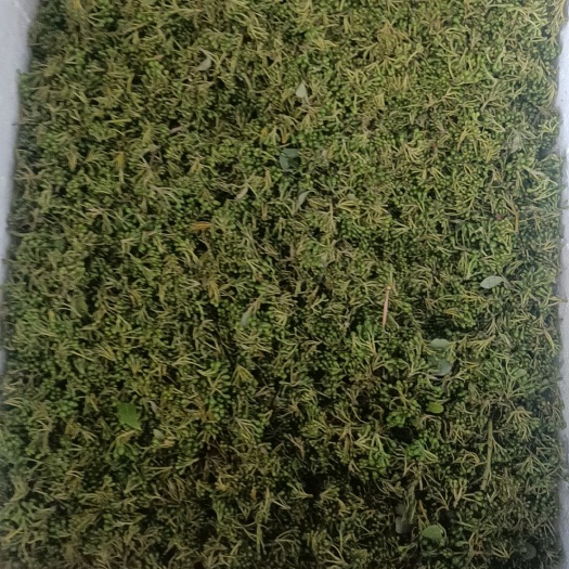 昆明木姜子