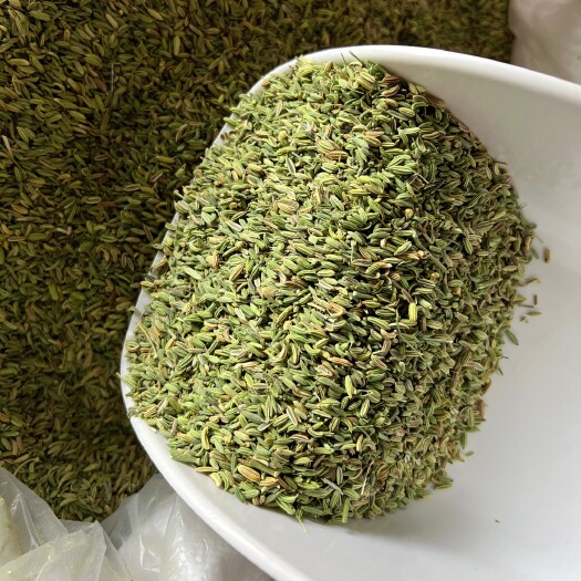 武汉国产甘肃特绿小茴香 颜色纯正 优质小茴可加工