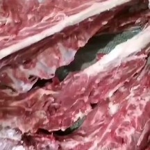 阳信县鲜冻羊蝎子