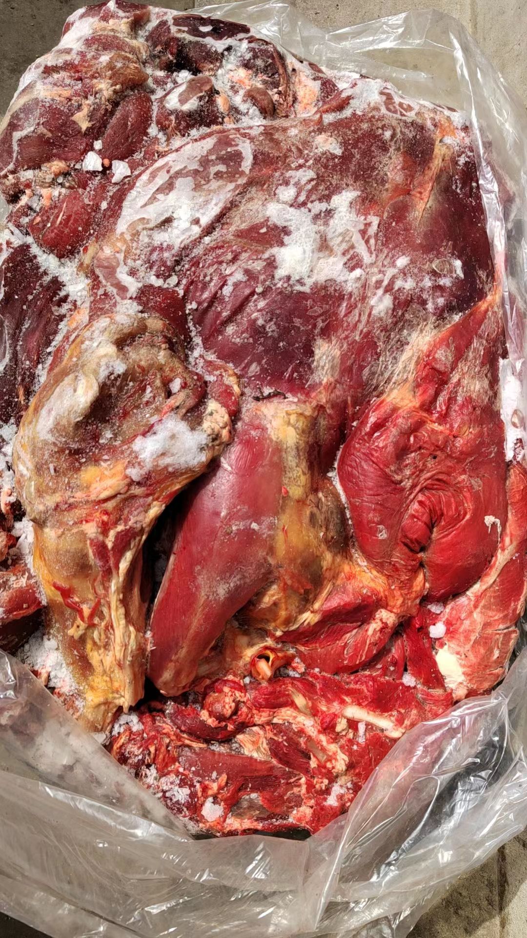 鮮凍牛肉，精修去油去骨