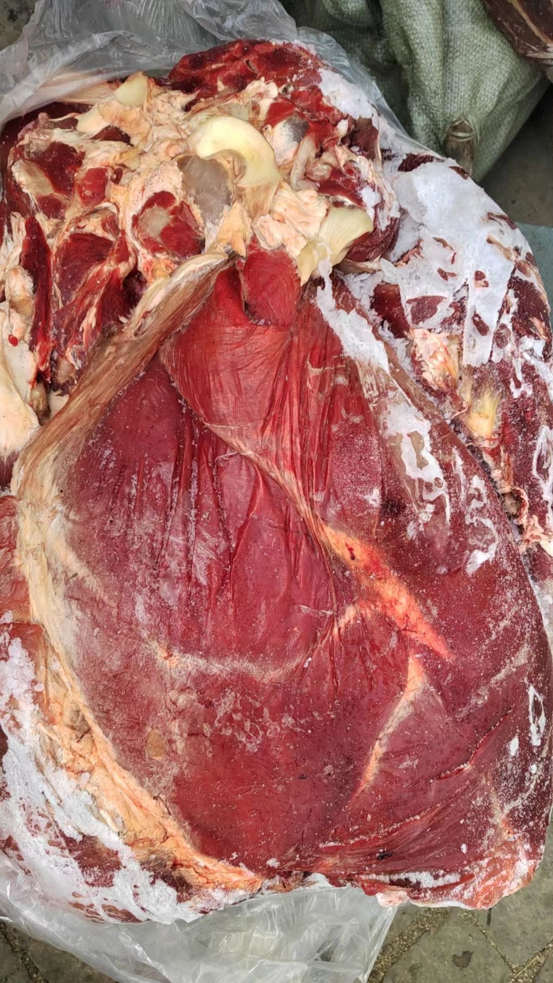 鮮凍牛肉，精修去油去骨