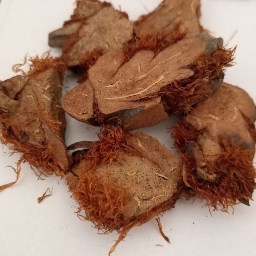【鲁赣药材】贯众 现货供应 药材批发 量大从优