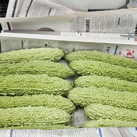 漳州苦瓜