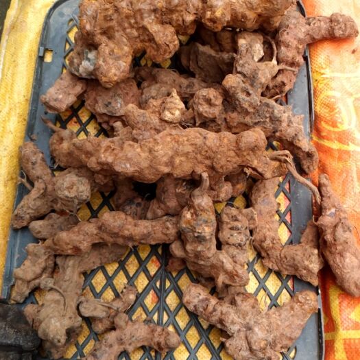 英德市现挖深山土茯苓、质粉、味甜、有白肉红肉