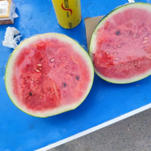 周至县精品云南甜王