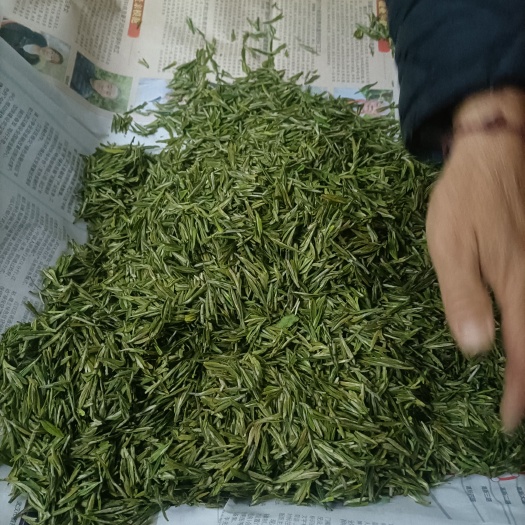 武汉新洲区旧街黄金芽