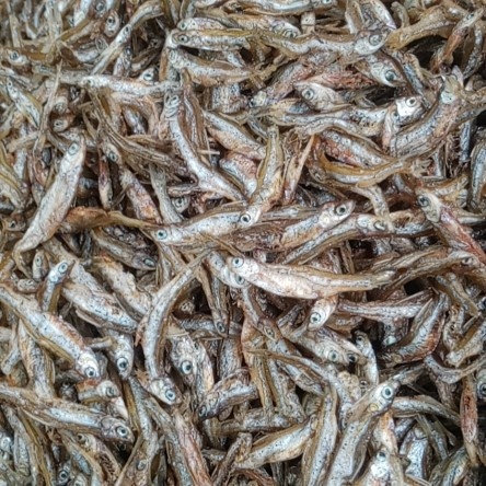 南宁河鱼干