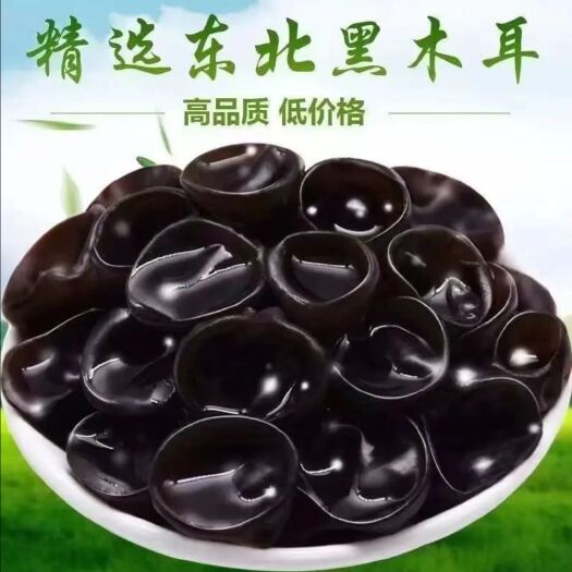 辽阳秋木耳
