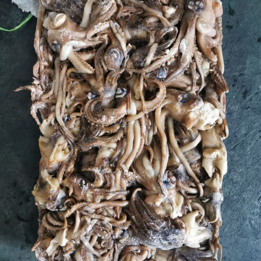 连云港秘鲁鱿鱼头