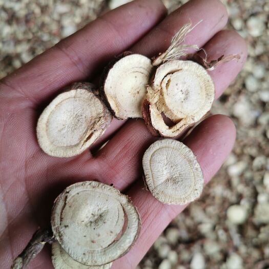 陇西县甘草片