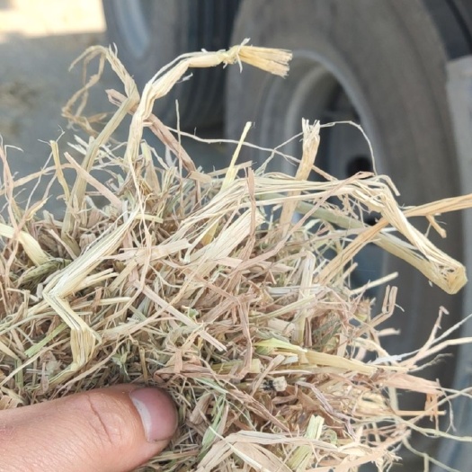 仙桃市24年精品牛羊草料小套袋两遍过筛柔丝除尘稻草牛羊养殖精品草料