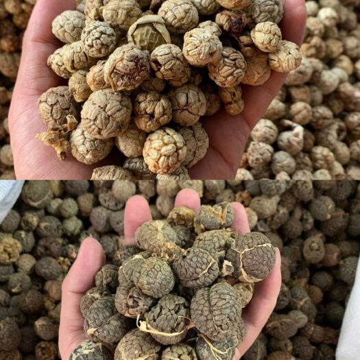亳州大草蔻/中草蔻草豆蔻草扣草寇更多香料中药材请查看全部宝贝