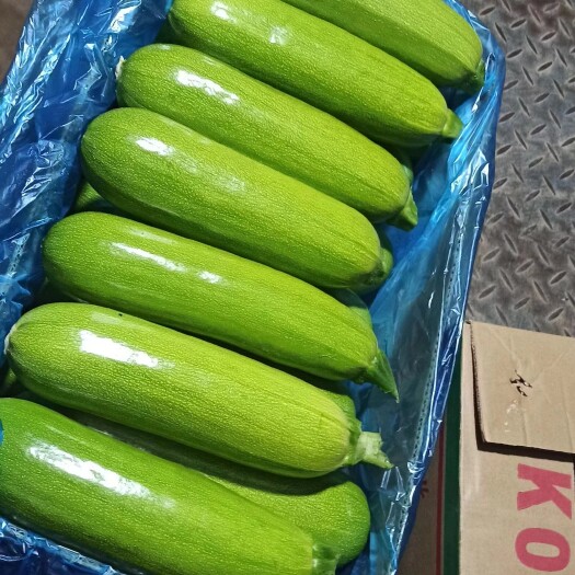 南通绿皮西葫芦