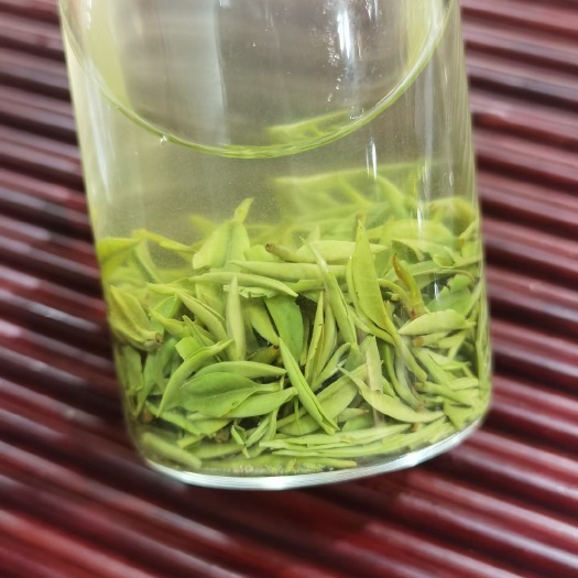 信阳信阳毛尖