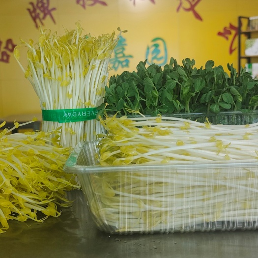 寿光市生产花生芽豌豆苗萝卜苗黄豆芽香椿苗等