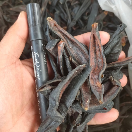 水蛭 清水吊杆 选货 纯水蛭无  添  加