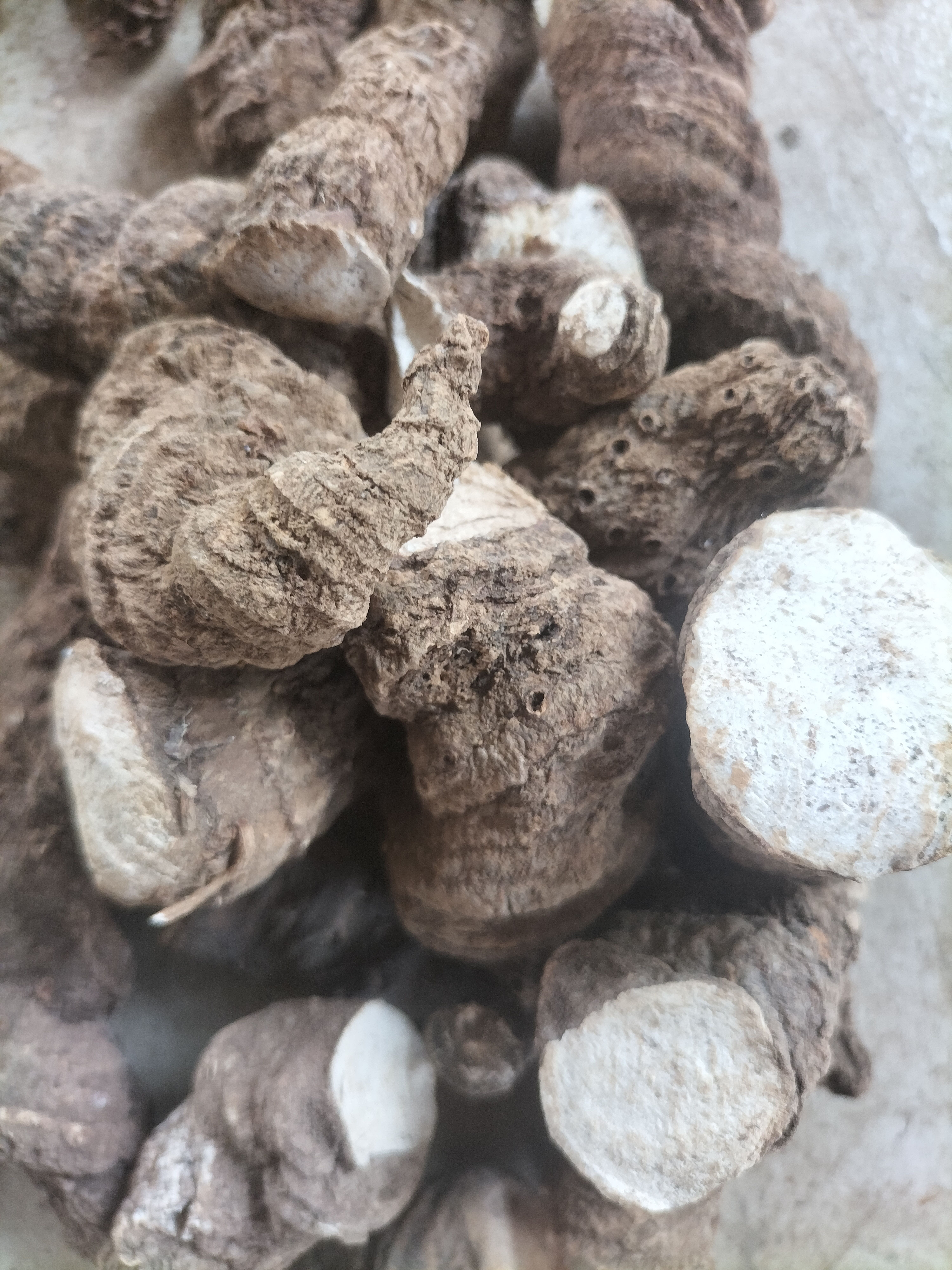 滇黔重楼，七叶一枝花